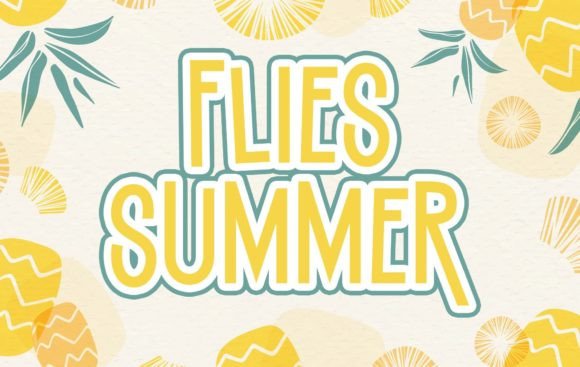 Flies Summer: A Whimsical Font for Small Business Branding